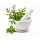 Byliny