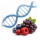 Antioxidanty a dlouhověkost