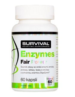 Survival Enzymes Fair Power 60 kapslí