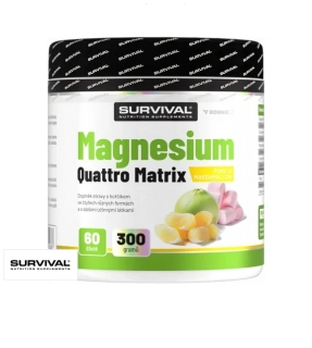 Survival Magnesium Quattro Matrix 300 g